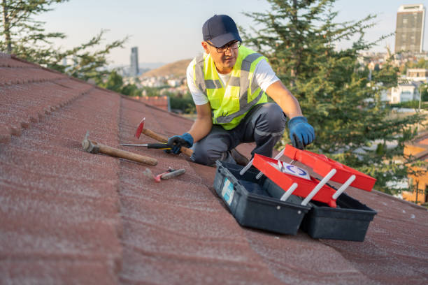 Best Historical Building Siding Restoration  in Harahan, LA
