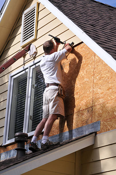 Best Custom Siding Design  in Harahan, LA